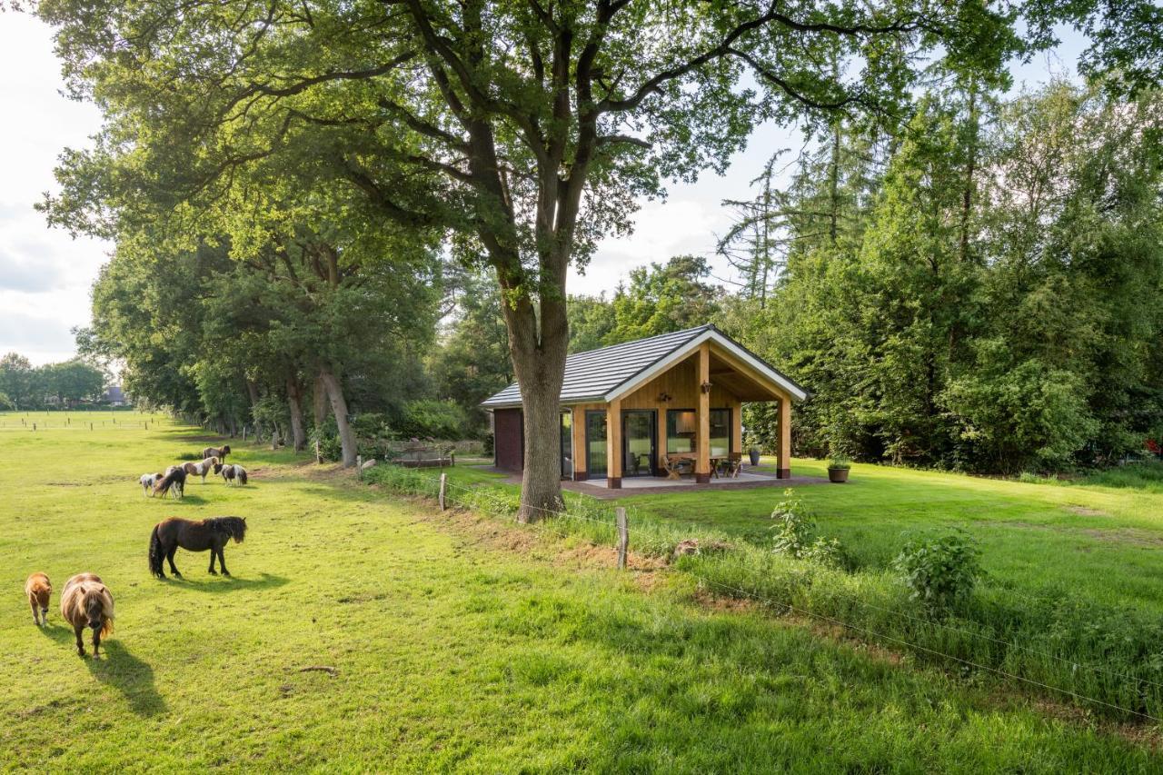 Bungalowpark Bij De Bronnen Nutter Esterno foto